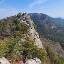 곡성-086 이미지