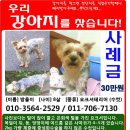 왕실장여관