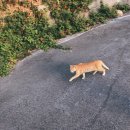주) 주문진시장 이미지