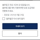 현대블루 이미지