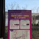 삼일어린이집(승합차2) | 울산 호출형 마실고래버스 탑승 후기🐋