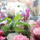 꽃나래 디자인 이미지