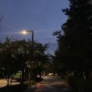 문경체육관(태권도) | [직관 후기] 17. 심장 터질 뻔했던 국방부장관기 직관