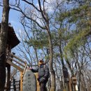 분당-136 이미지