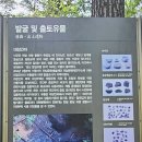 20240418 송학의 전라도 동네한바퀴 - 전남화순 쌍산 항일의병 유적지 이미지