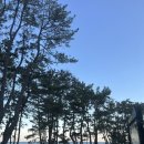 동천강주유소