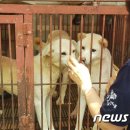 구포시장1 이미지
