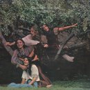[Oldies pop] The Incredible String Band - White Bird 이미지