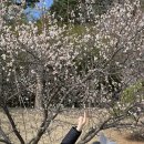 오죽헌 | 강릉 오죽헌 방문 후기, 조용히 걷기 좋은 곳