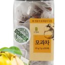 자연애 목이