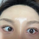 새라브로우