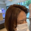 베일리헤어라벨 이미지