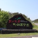 제주아이 이미지