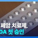 국산 폐암 치료제 미국 FDA 승인…글로벌 진출 이미지