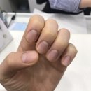 네일살롱 다정