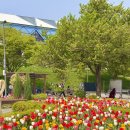 고온항 쉼터 공중화장실 | 서울 튤립 명소 서울숲 말고 응봉역 용비쉼터 가는법 주차 주말 데이트