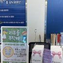 구봉산북로 | 대전 알프스다이빙에서 대전프리다이빙 강습레벨1 받은 후기-다이브인블루 프리다이빙