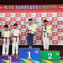 보성태권도 이미지