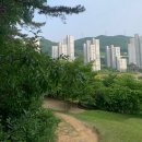 현대팰리스부동산공인중개사사무소 이미지