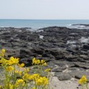 주상절리대화장실 이미지