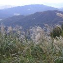 산중문답 이미지