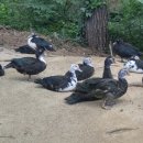 동녁농장 이미지