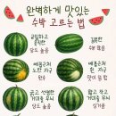 백억공인중개사사무소 네이버블로그