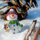 루비 애견샵 이미지