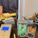 BBQ들안길점 이미지