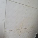현대청소 이미지