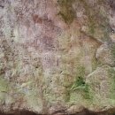 서호보건지소 이미지