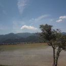 국시봉