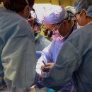 외과 의사들이 돼지 신장을 최초의 살아있는 인간 환자에게 이식하다 이미지