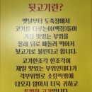 청와대뒷고기
