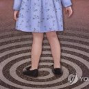 춘천 실종 초등생 유인한 50대에 중형..."반복적 범행" 이미지