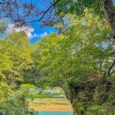 단양관광안내소 이미지