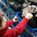 두리농장1 이미지