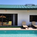 네이처러스 판포나일 이미지