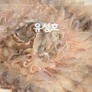 유성호활어회센타