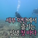 노블레스 스킨(Noblesse Skin) | 세부 다이빙 막탄에서 즐기는 인생 첫 바다, '오픈워터' 자격증은 노블레스 다이브 센터에서!