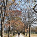 담양 서가면옥 보릿잎 닭 칼국수 후기 [2021.11.05]