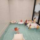 봉봉풀빌라 이미지