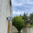 운남로 | 영종도 카페 추천! 스왈로우 카페 방문 후기