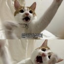없   음 이미지