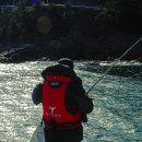 새천년도로 이미지