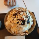 꽃메4281