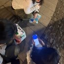 *스압주의 [2025 상하이 2박 3일] 일정 총정리본
