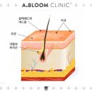 압구정찜질방사우나 이미지