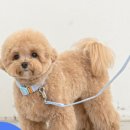 군산시-00017 이미지