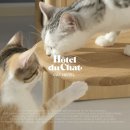 오뗄뒤샤 이미지